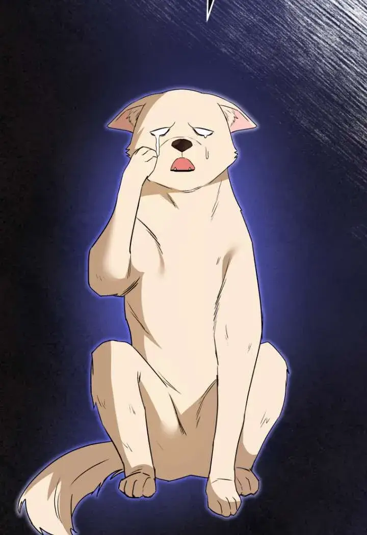《兽医先生！你好？》第48话图71