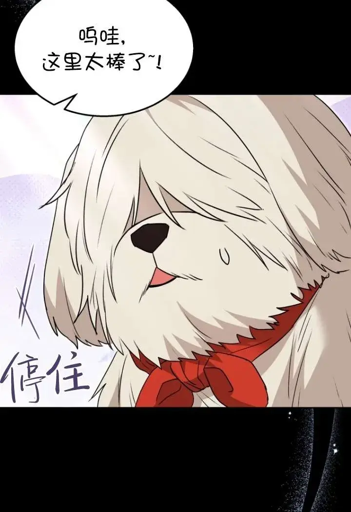 《兽医先生！你好？》第48话图85
