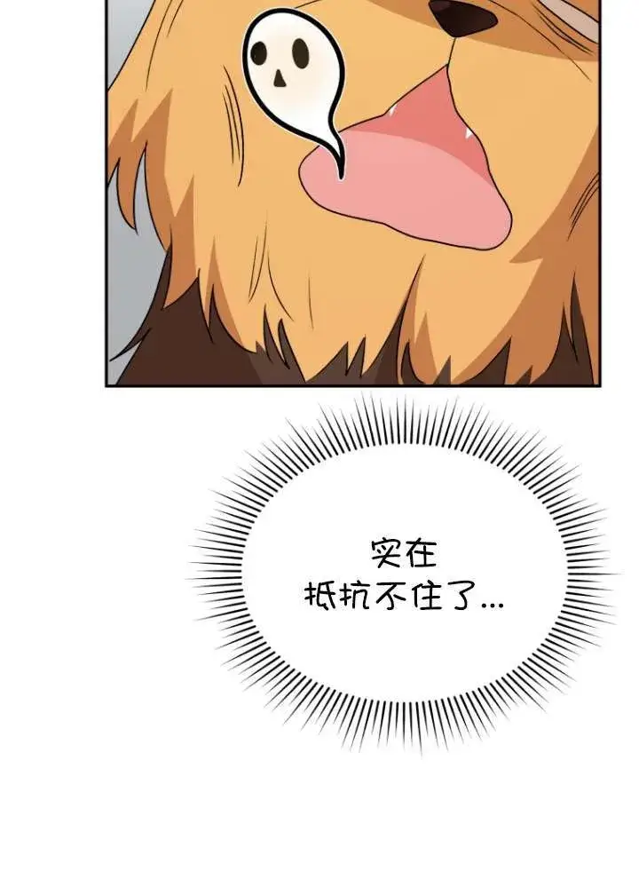 《兽医先生！你好？》第50话图4