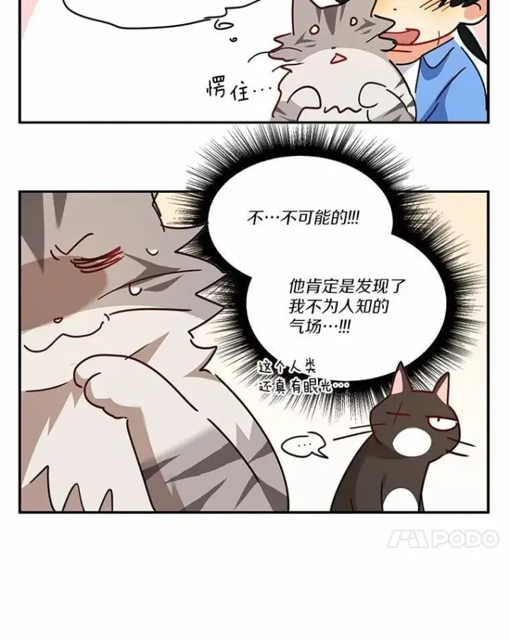《兽医先生！你好？》51.我们的新家图145
