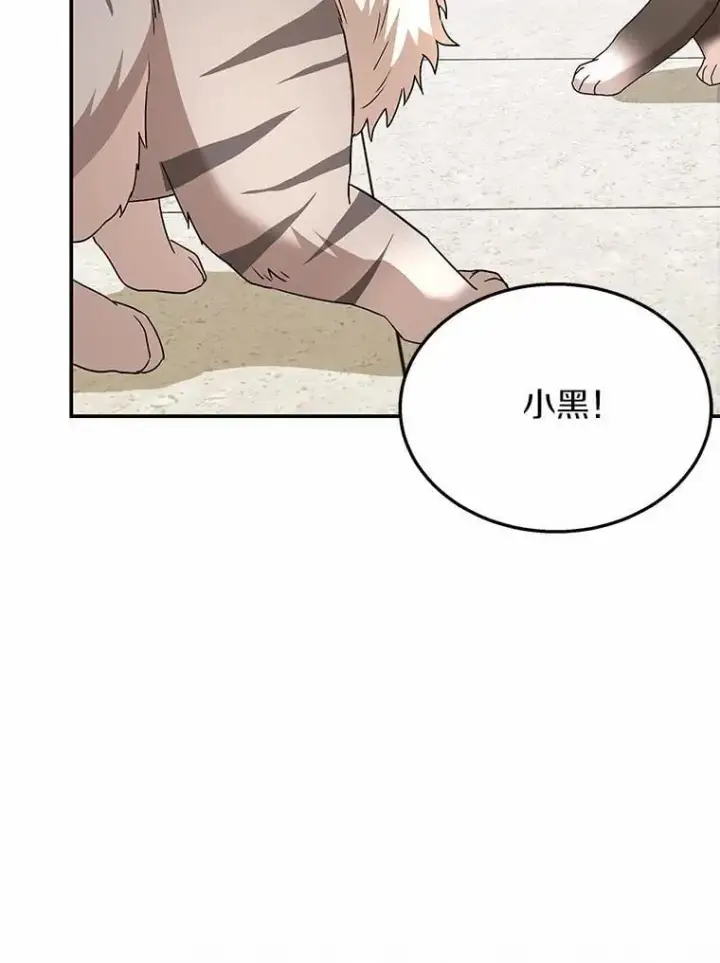 《兽医先生！你好？》51.我们的新家图35