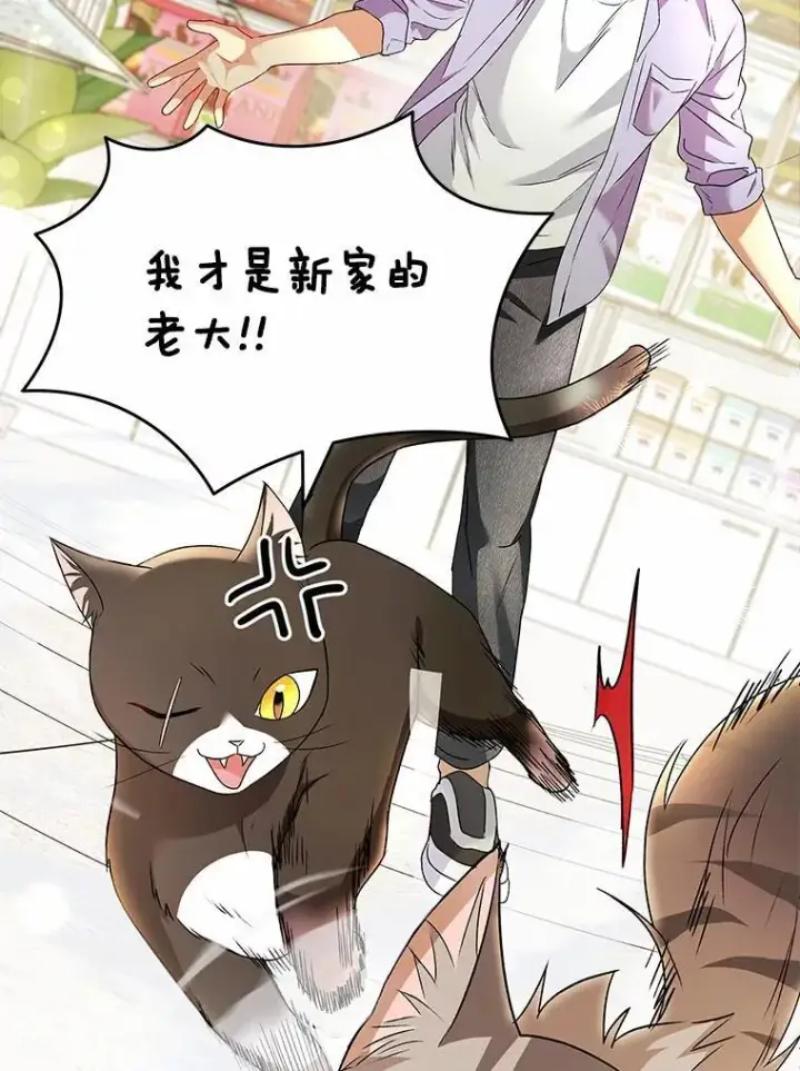 《兽医先生！你好？》51.我们的新家图37
