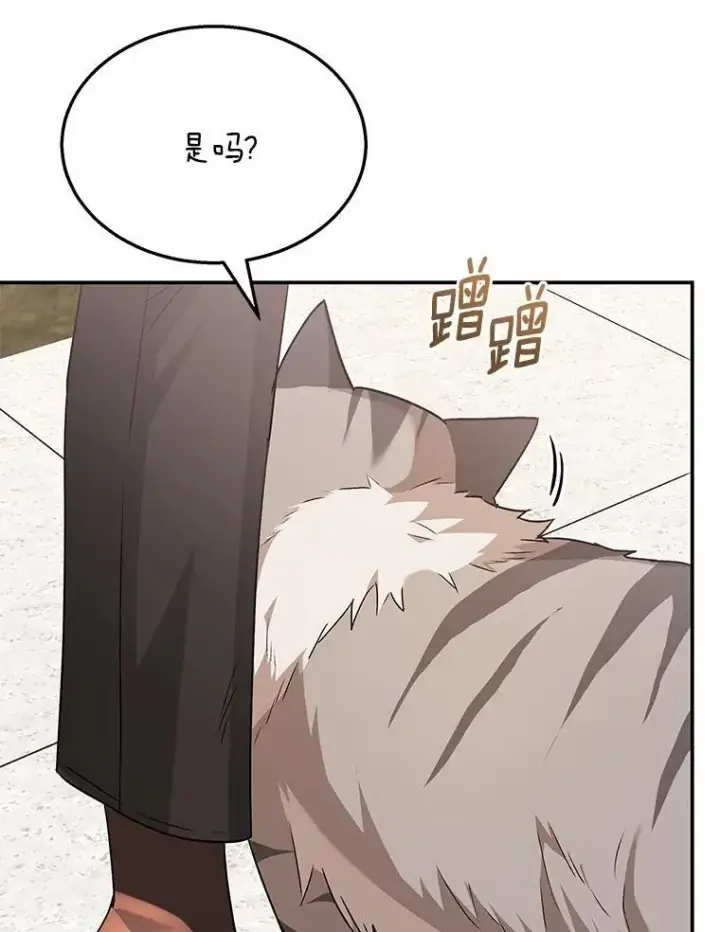 《兽医先生！你好？》51.我们的新家图67