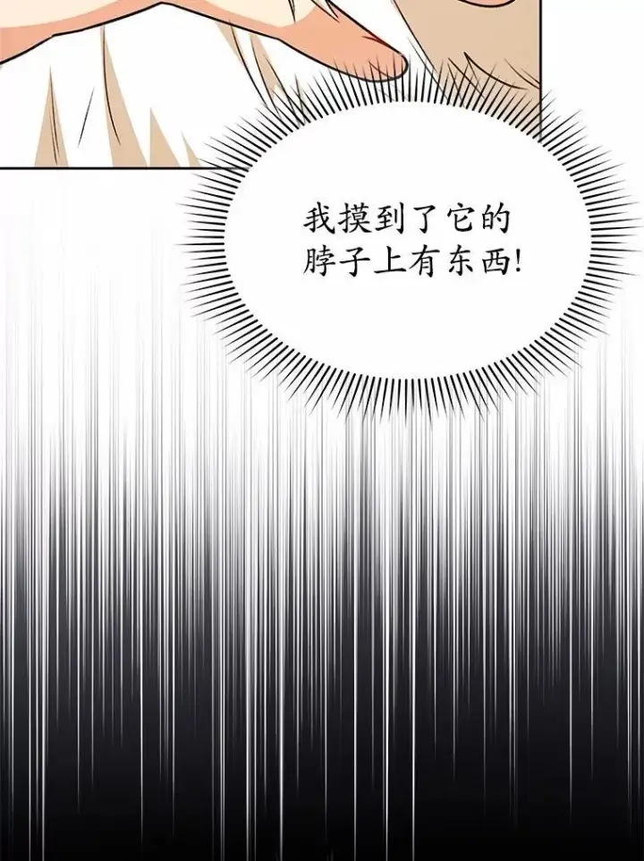 《兽医先生！你好？》52.斯巴达特训图125