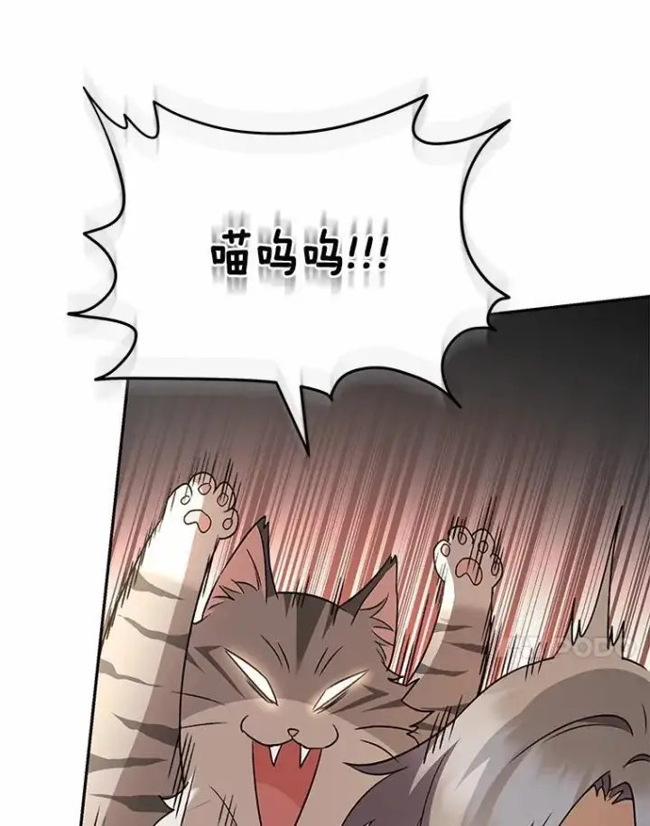 《兽医先生！你好？》52.斯巴达特训图49