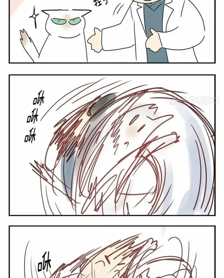 《兽医先生！你好？》53.才不是胆小鬼图121