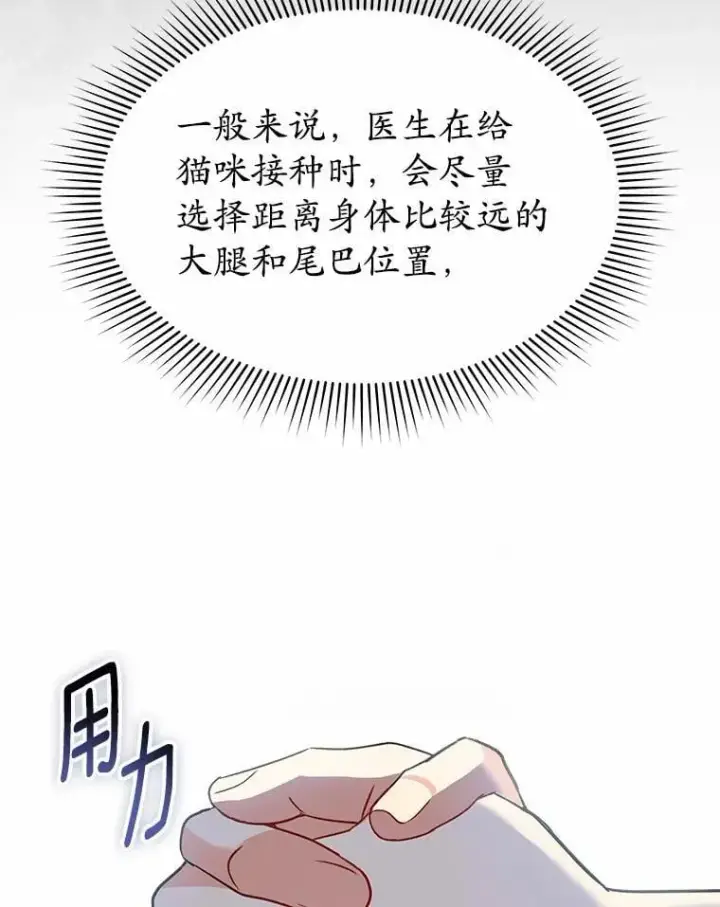 《兽医先生！你好？》53.才不是胆小鬼图13