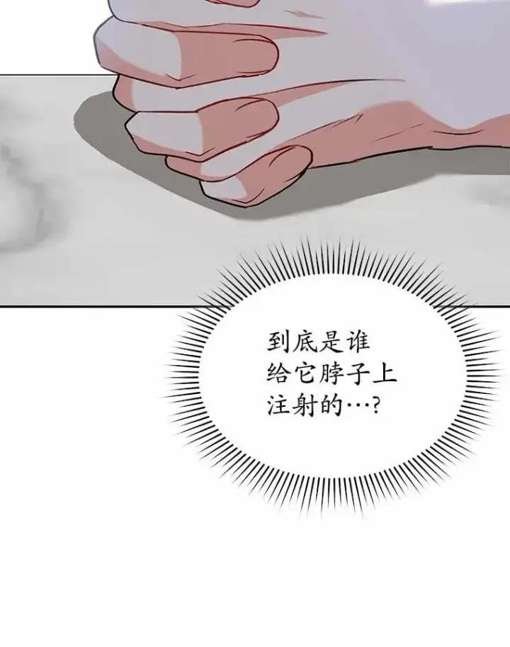 《兽医先生！你好？》53.才不是胆小鬼图14
