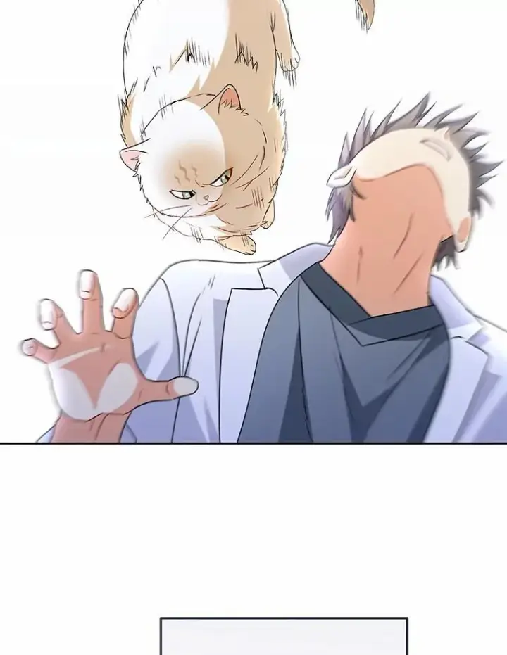 《兽医先生！你好？》53.才不是胆小鬼图33