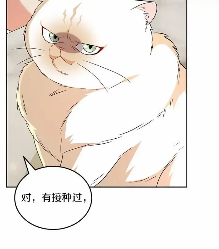 《兽医先生！你好？》53.才不是胆小鬼图6