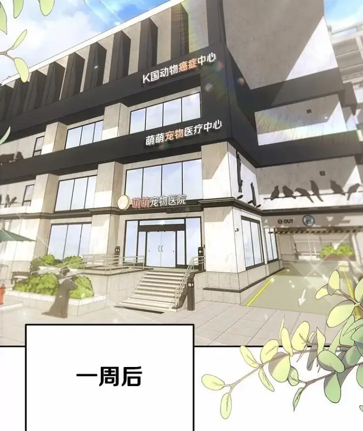 《兽医先生！你好？》53.才不是胆小鬼图85
