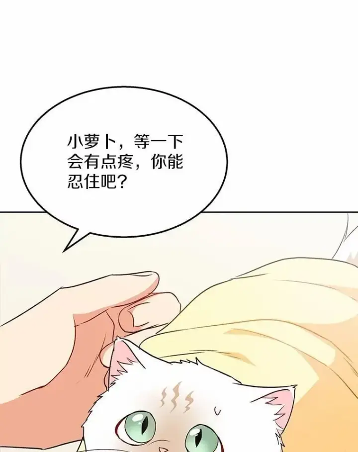 《兽医先生！你好？》54.我的第一位患者图122