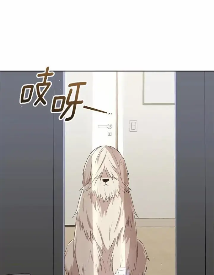 《兽医先生！你好？》56.你好？兽医先生！图42
