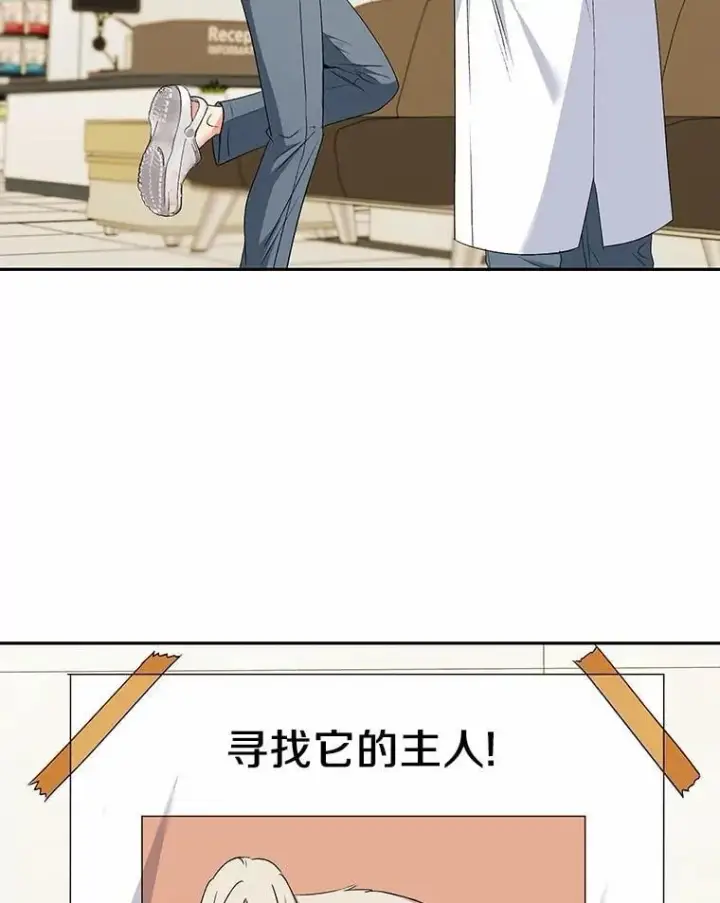 《兽医先生！你好？》56.你好？兽医先生！图47