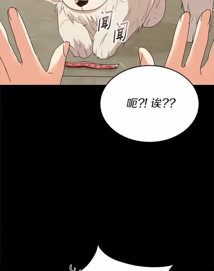 《兽医先生！你好？》56.你好？兽医先生！图5