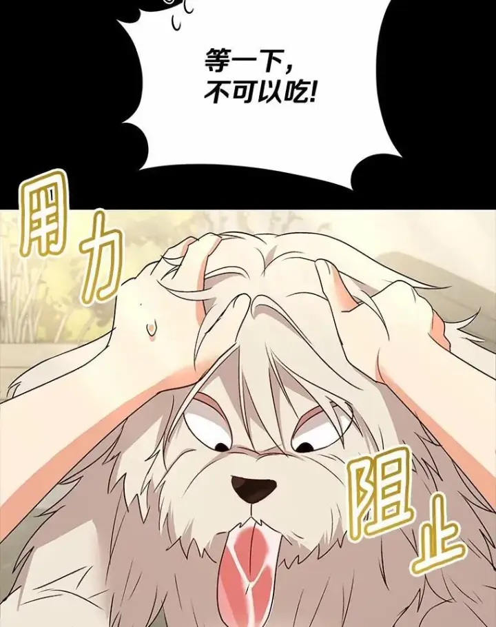 《兽医先生！你好？》56.你好？兽医先生！图6