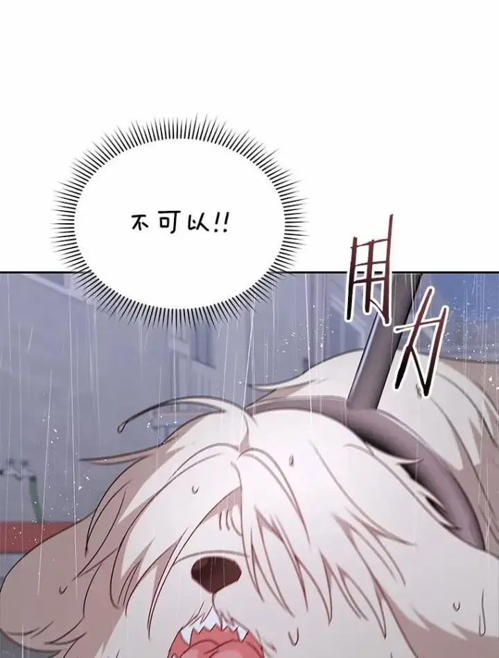 《兽医先生！你好？》57.小古历险记（1）图117