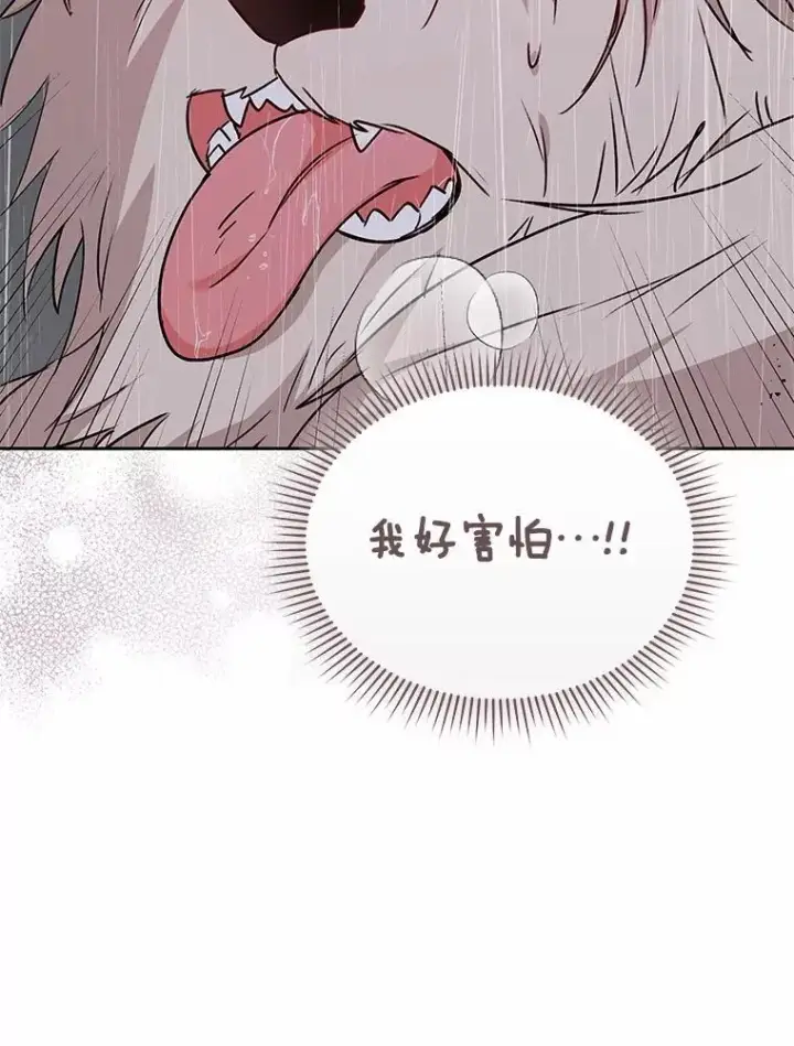 《兽医先生！你好？》57.小古历险记（1）图120