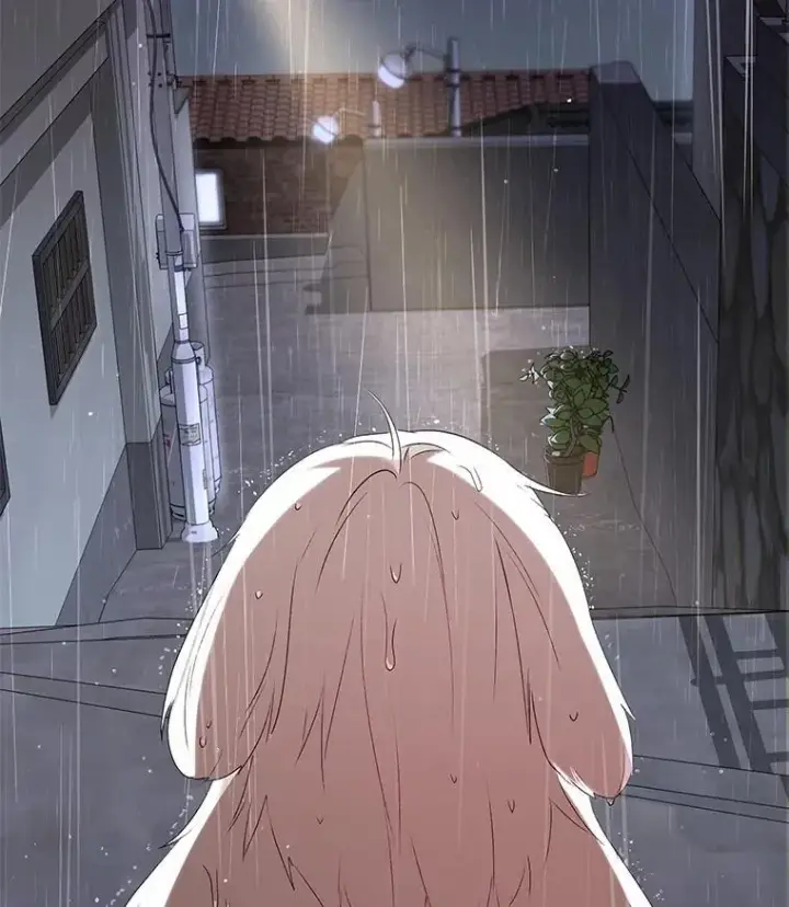 《兽医先生！你好？》57.小古历险记（1）图16
