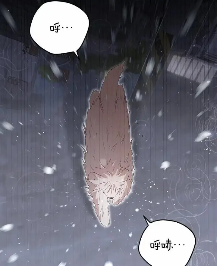 《兽医先生！你好？》57.小古历险记（1）图3