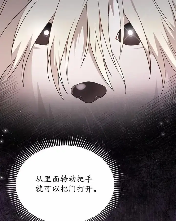 《兽医先生！你好？》57.小古历险记（1）图53