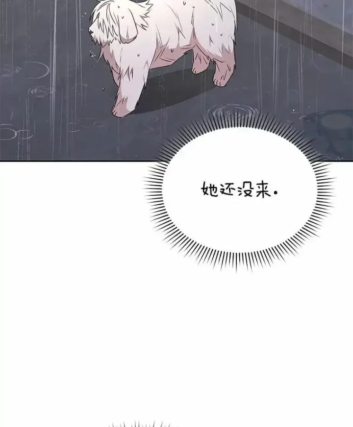 《兽医先生！你好？》57.小古历险记（1）图87