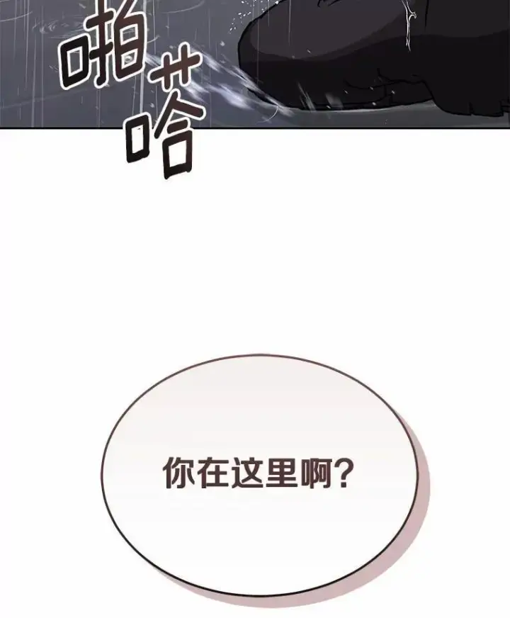 《兽医先生！你好？》57.小古历险记（1）图89