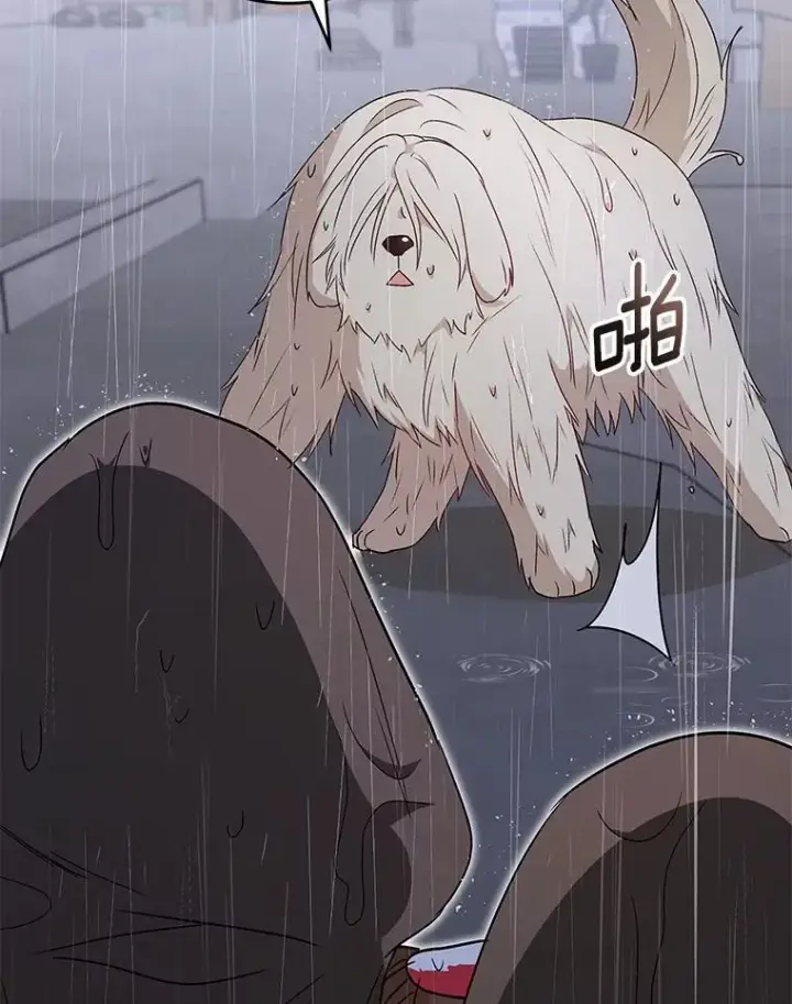 《兽医先生！你好？》57.小古历险记（1）图96