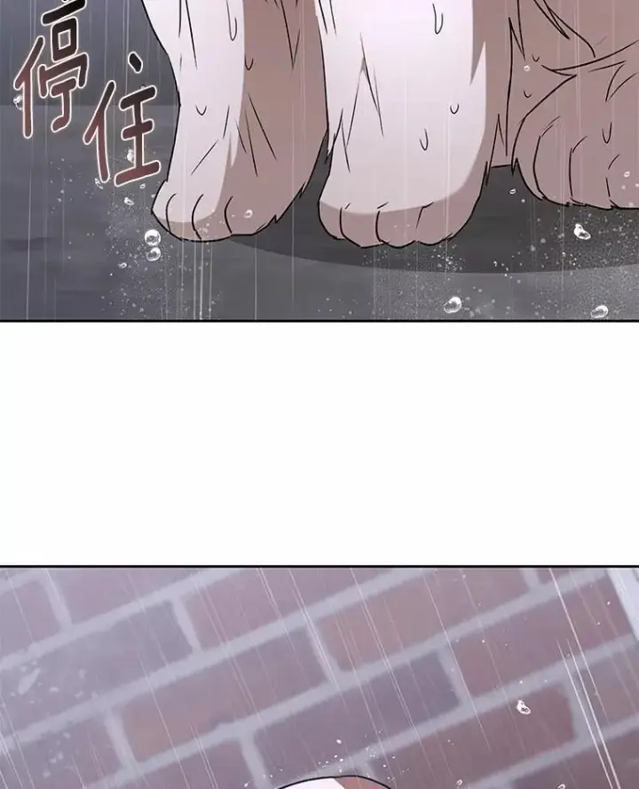 《兽医先生！你好？》58.小古历险记（2）图111