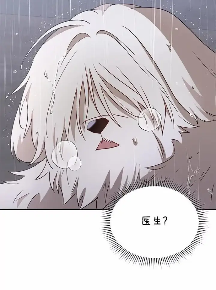 《兽医先生！你好？》58.小古历险记（2）图17