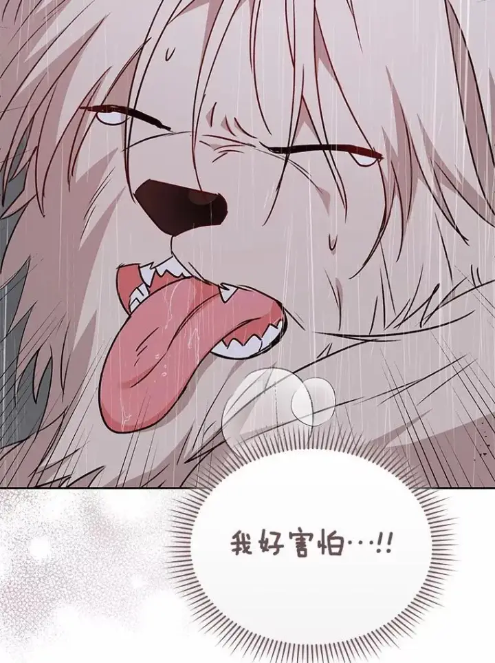 《兽医先生！你好？》58.小古历险记（2）图2