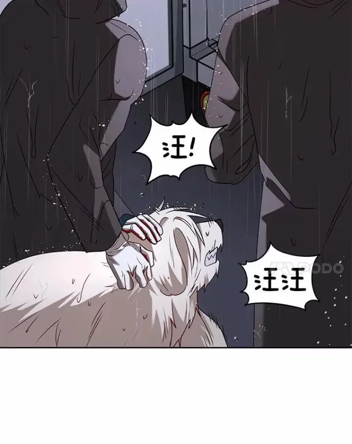 《兽医先生！你好？》58.小古历险记（2）图37