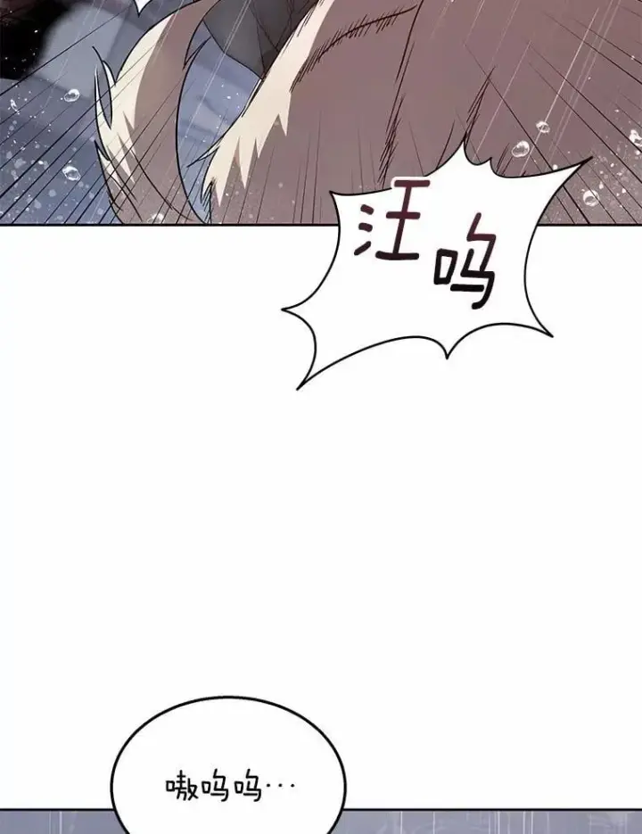 《兽医先生！你好？》58.小古历险记（2）图48