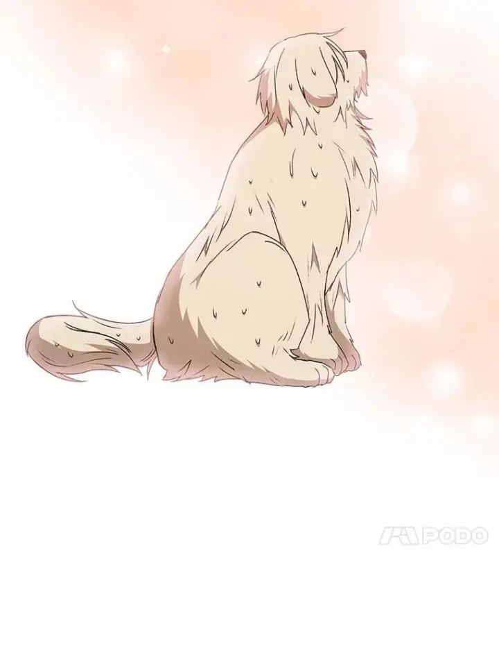《兽医先生！你好？》59.我们回家吧图124