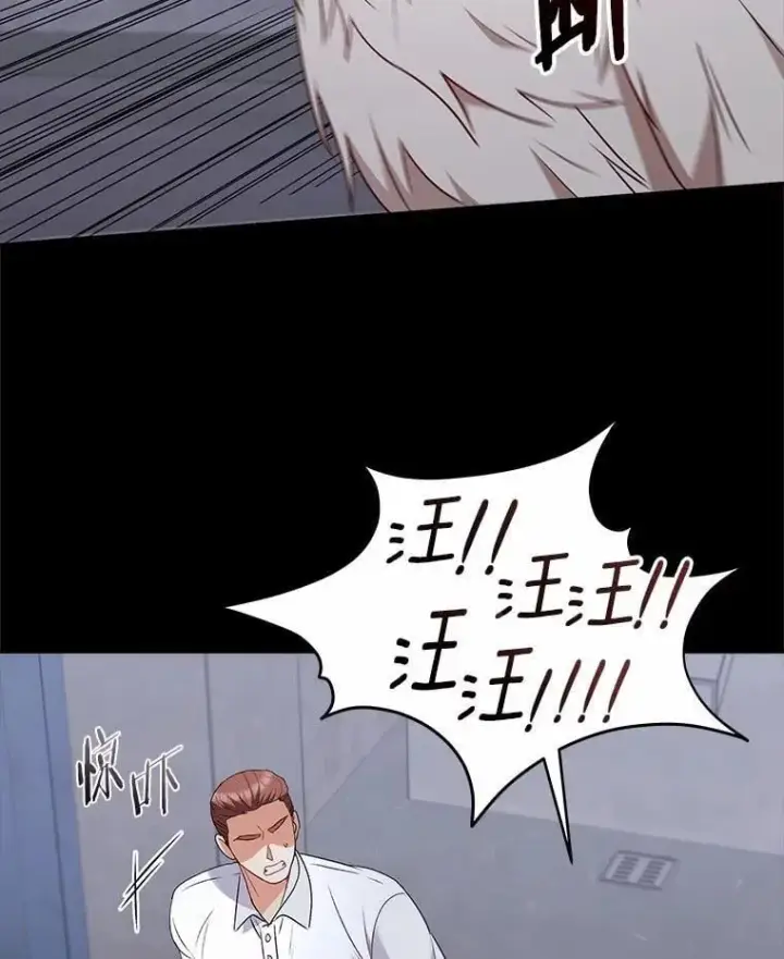 《兽医先生！你好？》59.我们回家吧图33