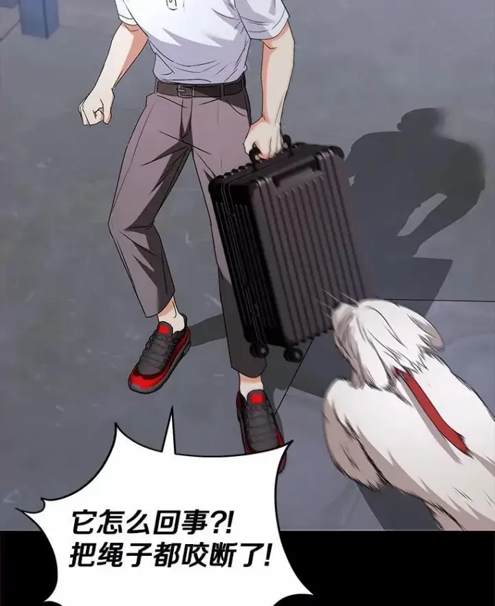 《兽医先生！你好？》59.我们回家吧图34