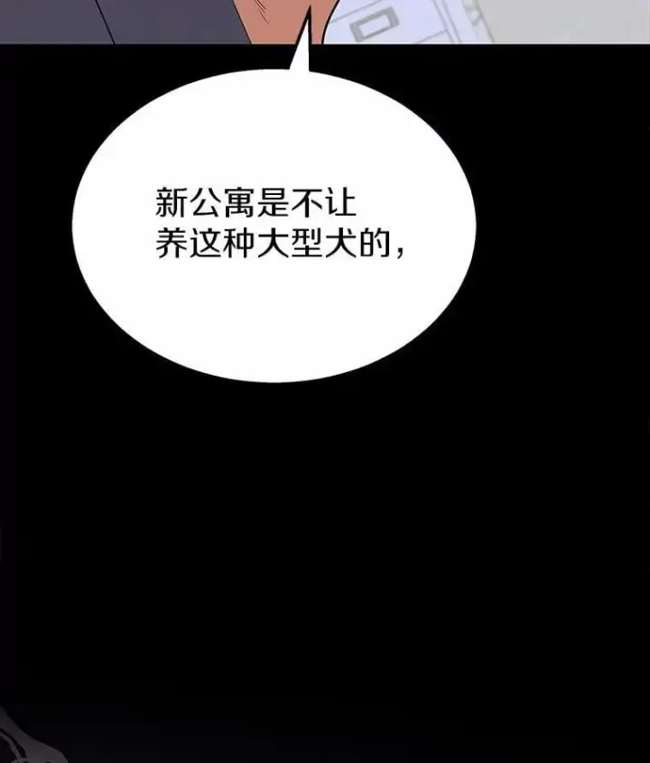 《兽医先生！你好？》59.我们回家吧图7