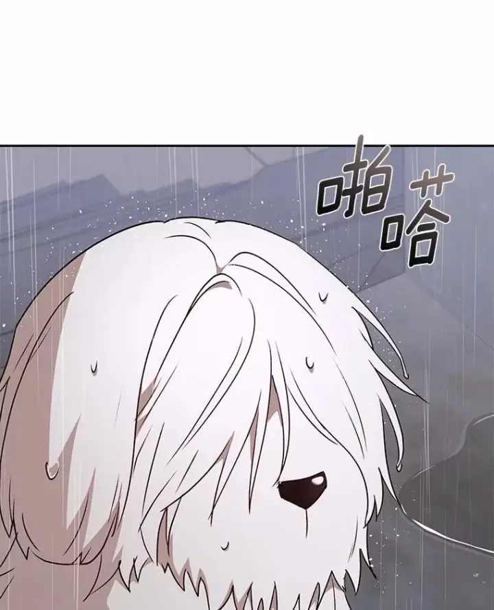 《兽医先生！你好？》59.我们回家吧图73