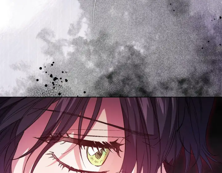《双胞胎姐姐不再相信他人》第11话 成人礼的主角图99