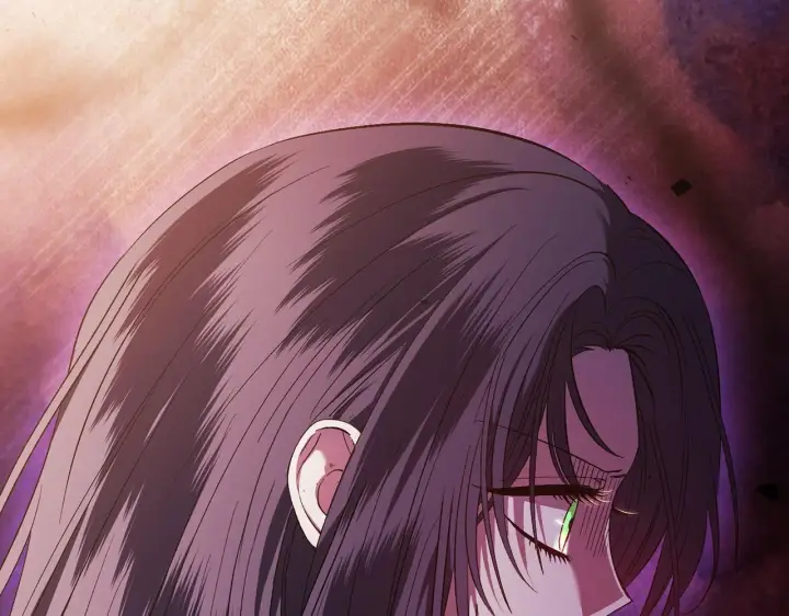 《双胞胎姐姐不再相信他人》第63话 阳动作战图159