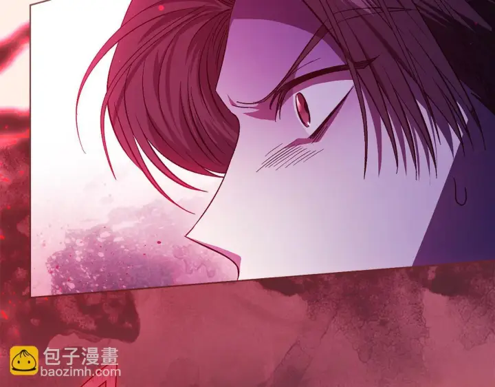 《双胞胎姐姐不再相信他人》第79话 家人的保护图99