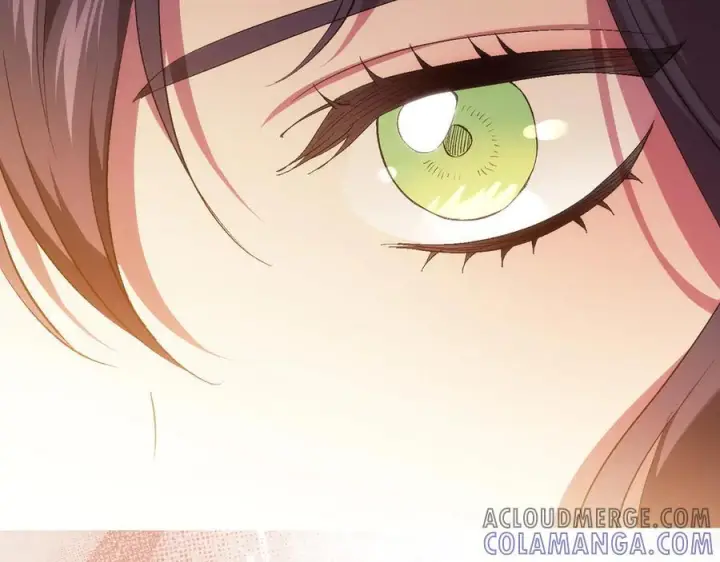 《双胞胎姐姐不再相信他人》第97话 公女的过往图49