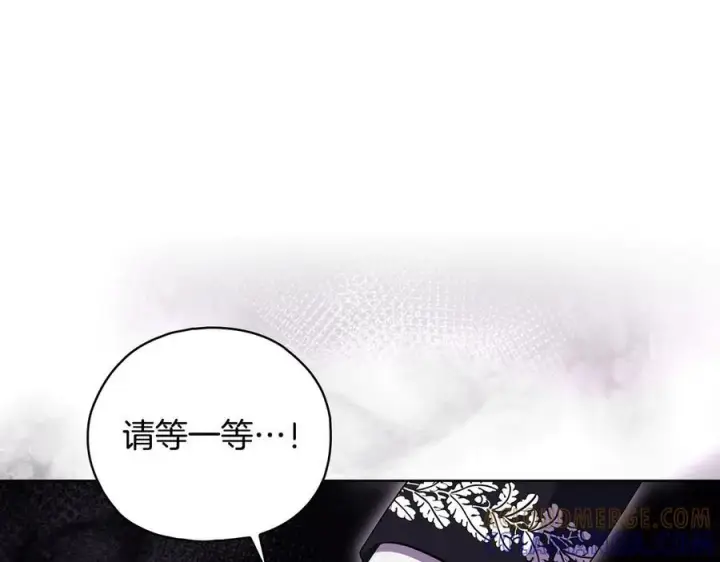 《双胞胎姐姐不再相信他人》第100话 命运般的相遇图109