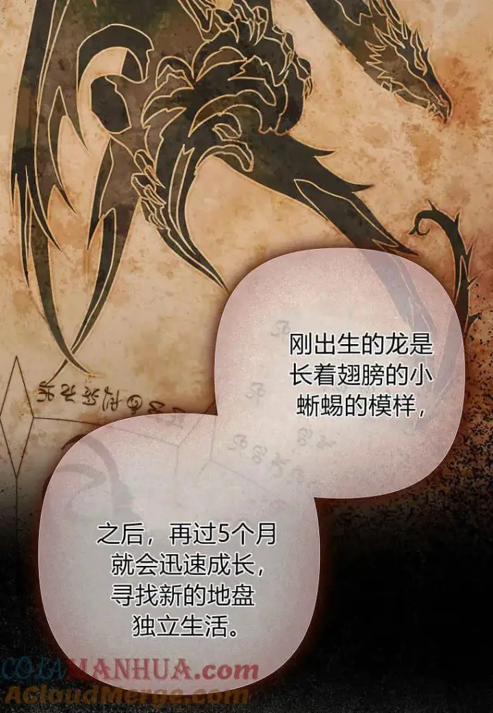 《死的是我, 勇士却疯了》第07话图22