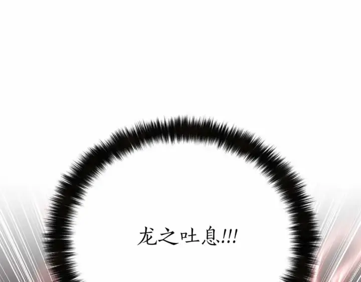 《死灵法师：重生的我全技能精通》第67话 休想靠近图211