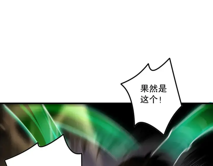 《死灵法师！我即是天灾》第150话 光元素副本图115