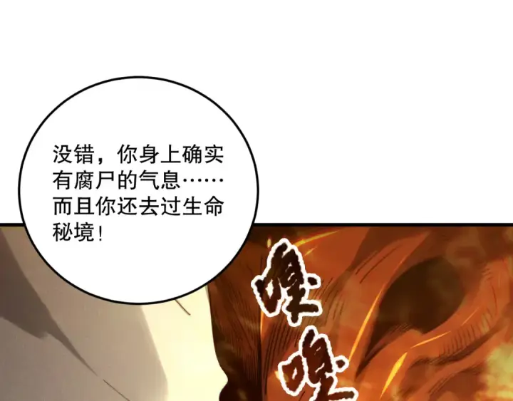 《死灵法师！我即是天灾》第206话  通晓古今图36