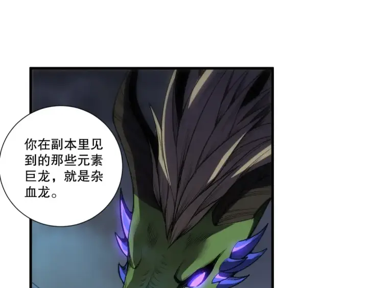 《死灵法师！我即是天灾》第262话 真正的龙族秘辛图67