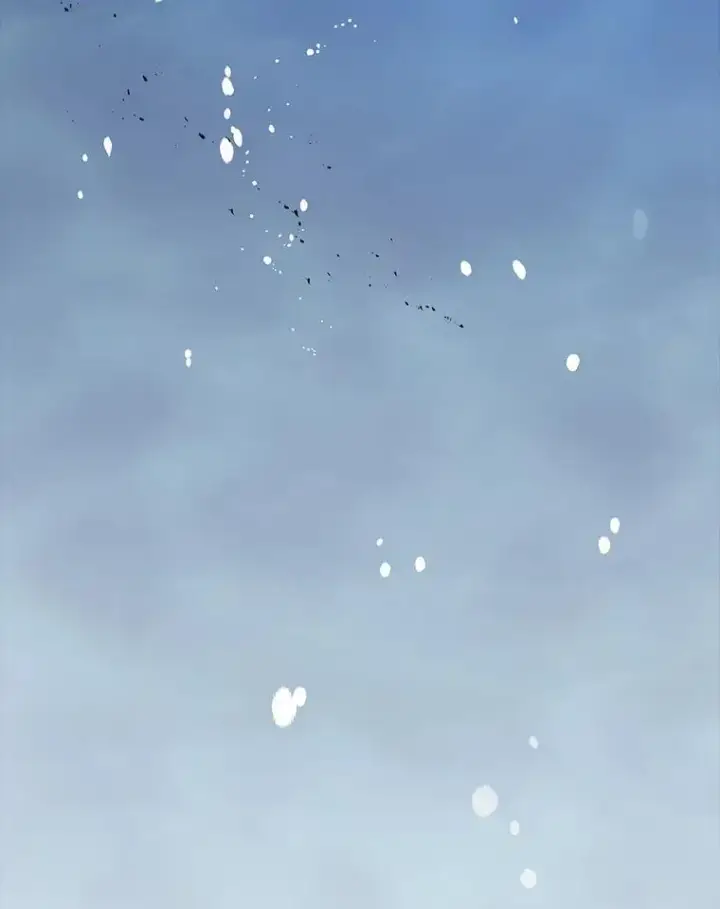 《死灵术师学院的召唤天才》98.额外报酬图55