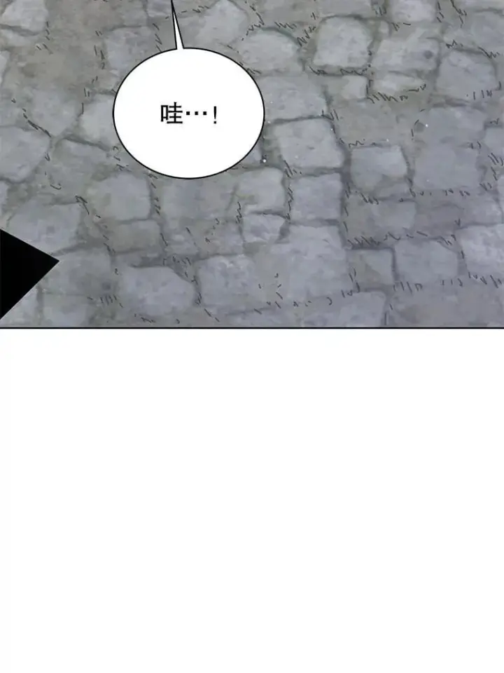 《死灵术师学院的召唤天才》108.108图26